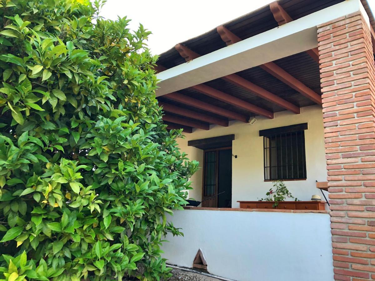 Villa Bonita Nerja Kültér fotó